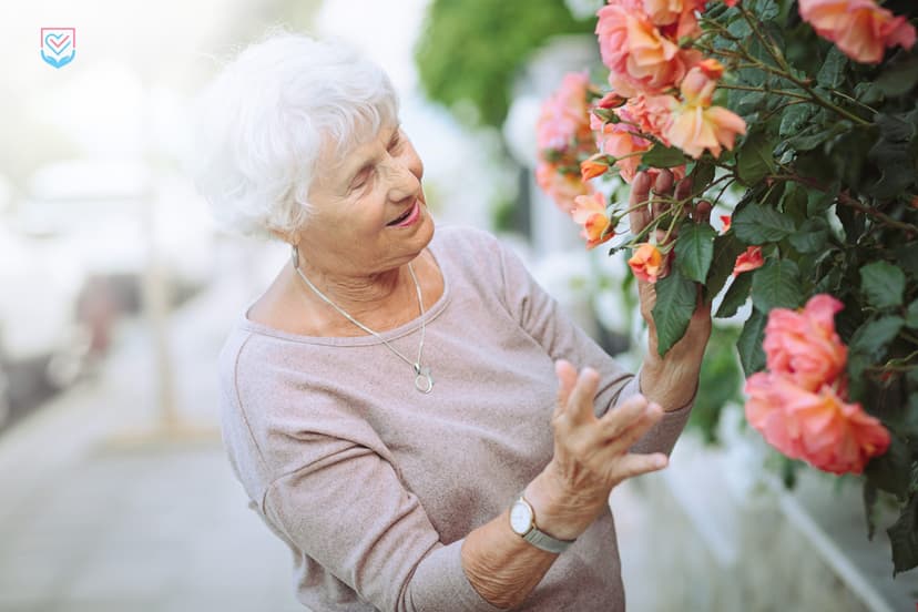 elderly-woman-admiring-beautiful-bushes-with-color-